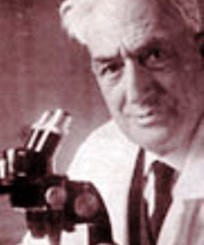 Alberto Razzauti al microscopio